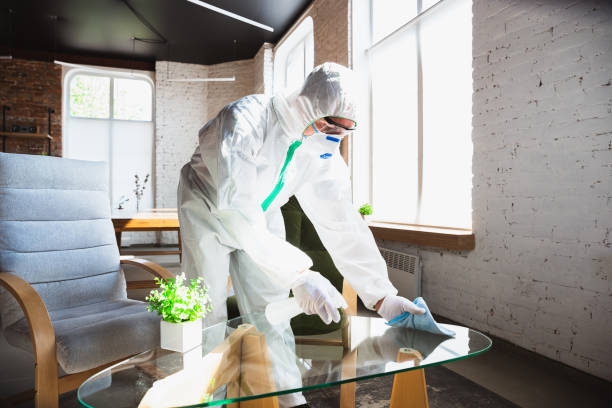 Best Mold Odor Removal Services  in USA